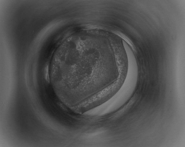 X0000100361055200806271419