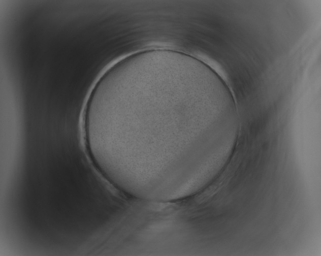 X0000100361056200806271419