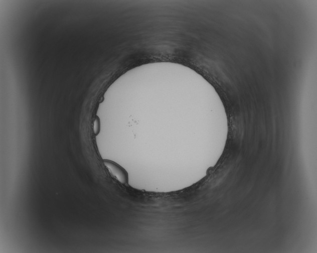 X0000100361057200806271419