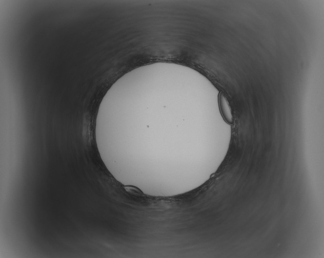 X0000100361058200806271419