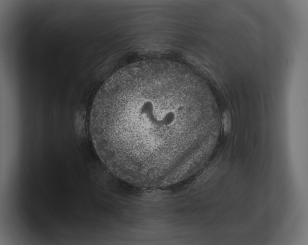 X0000100361059200806271419