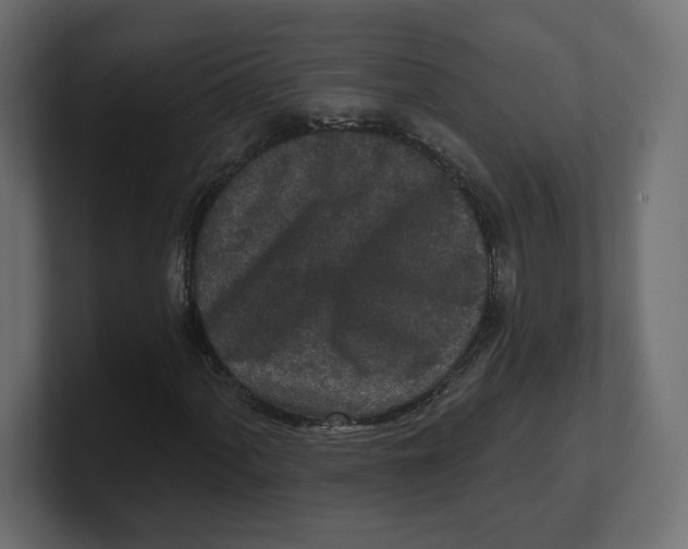 X0000100361060200806271419