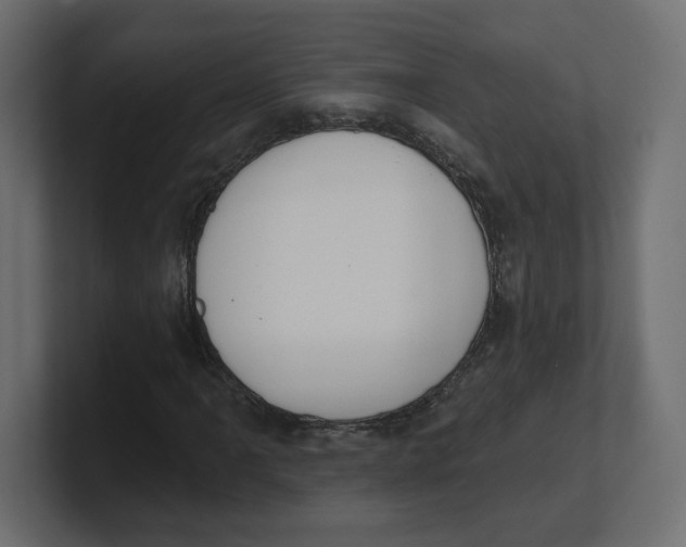 X0000100361061200806271419