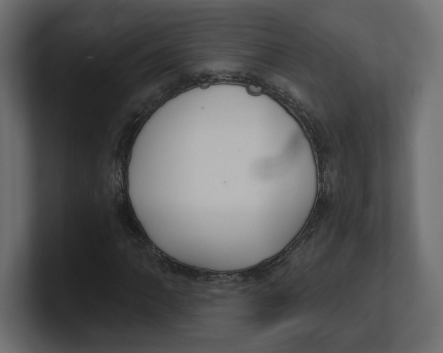 X0000100361062200806271419