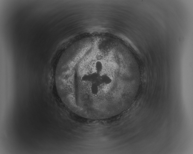 X0000100361063200806271419