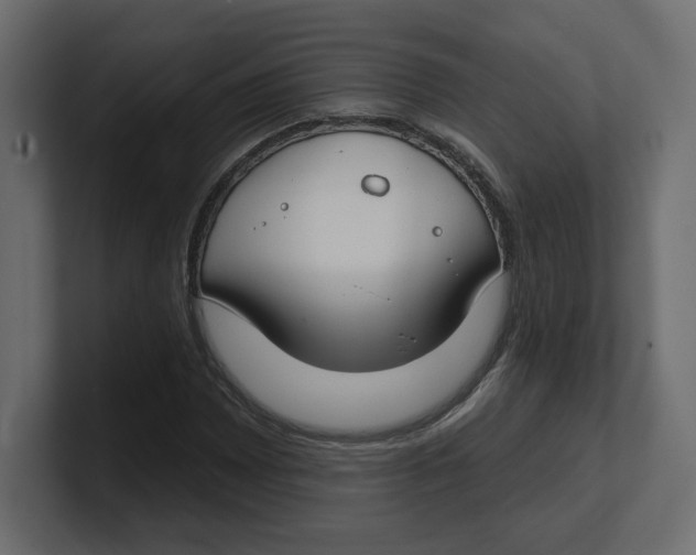 X0000100361065200806271419