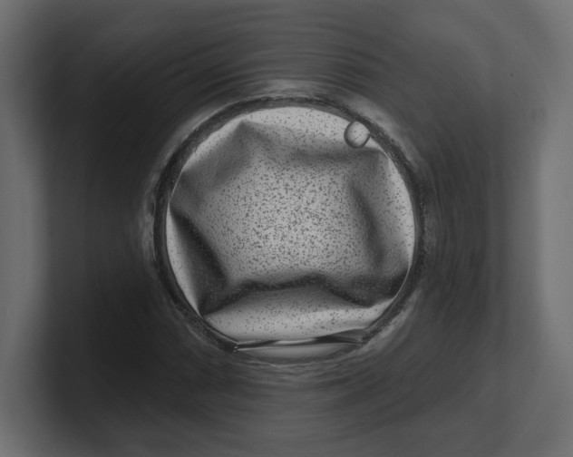 X0000100361066200806271419