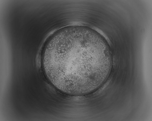 X0000100361067200806271419