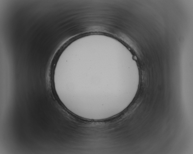 X0000100361068200806271419