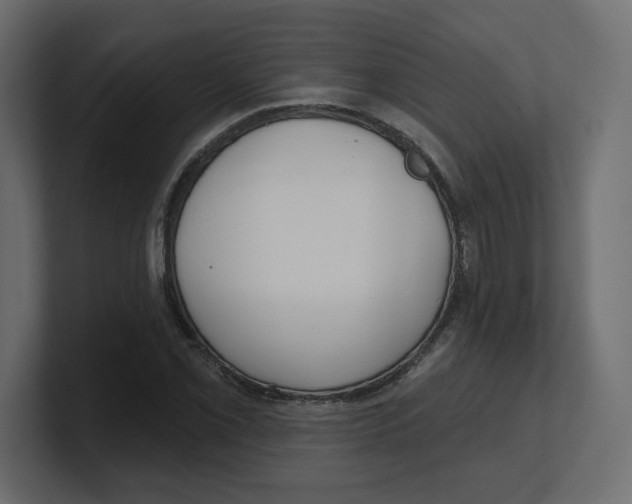 X0000100361069200806271419