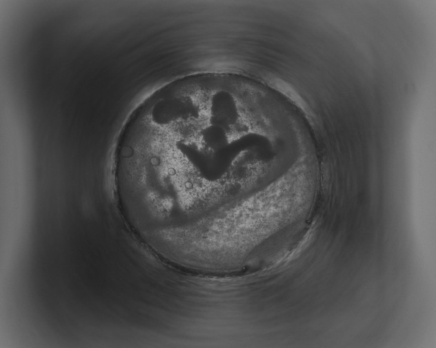 X0000100361071200806271419