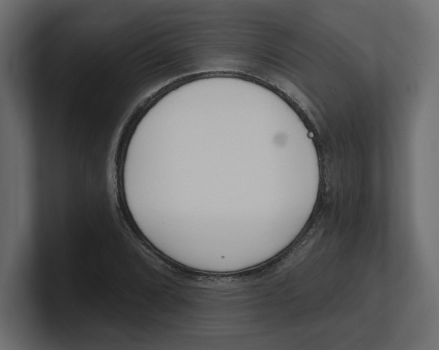 X0000100361072200806271419