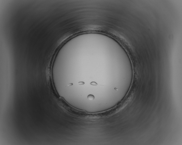 X0000100361073200806271419