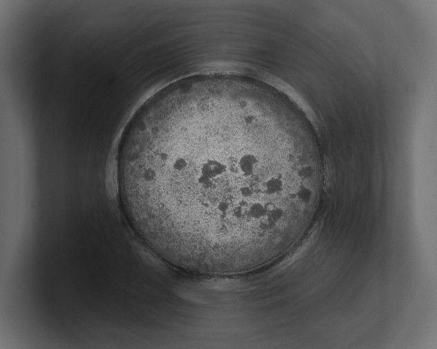 X0000100361075200806271419