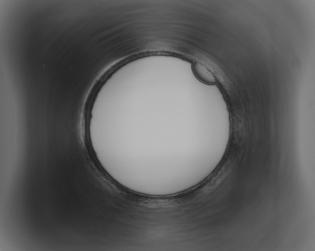 X0000100361076200806271419