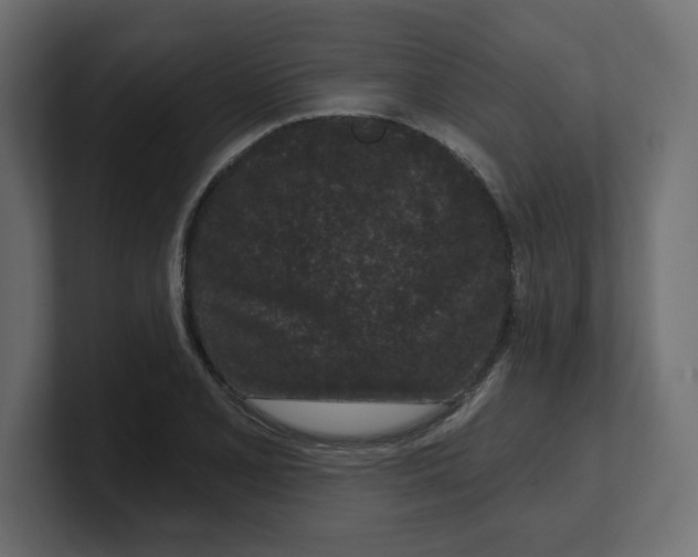 X0000100361077200806271419