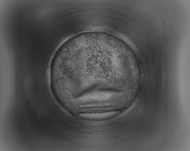 X0000100361079200806271418