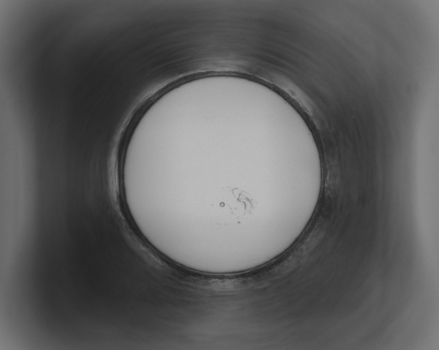 X0000100361080200806271418