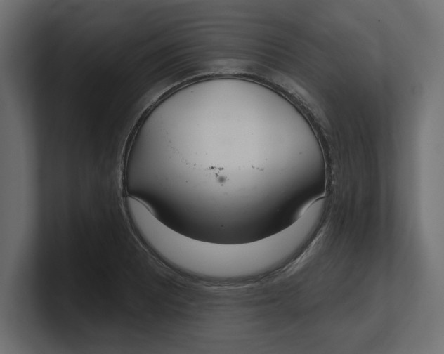 X0000100361081200806271418