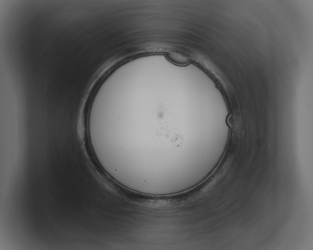 X0000100361082200806271418