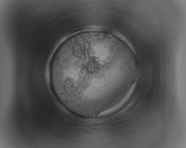 X0000100361083200806271418