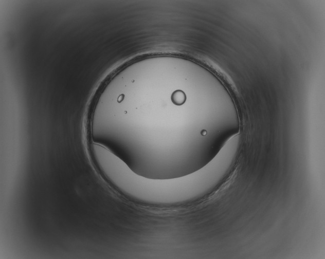 X0000100361085200806271418