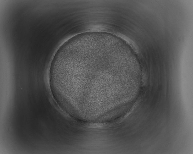 X0000100361086200806271418