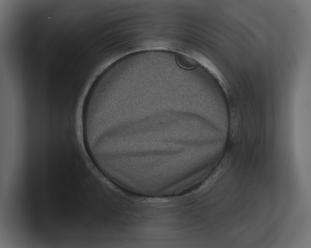 X0000100361088200806271418