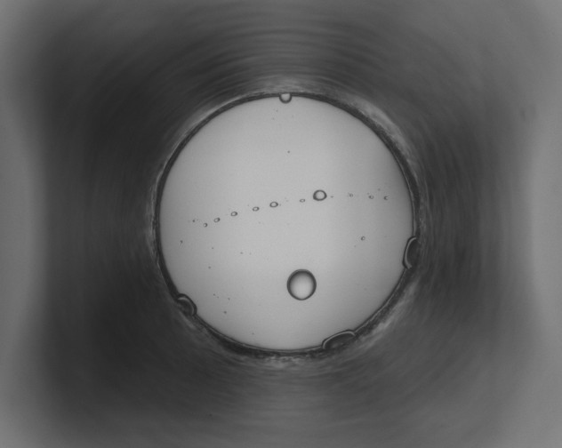 X0000100361089200806271418