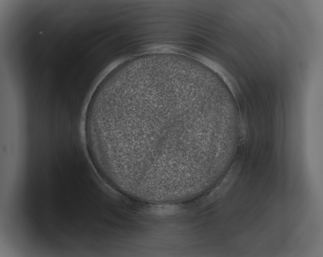 X0000100361090200806271418