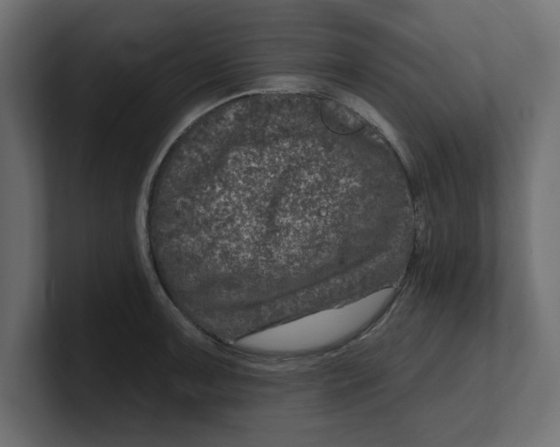 X0000100361091200806271418