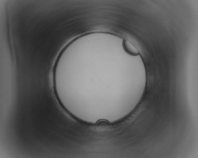 X0000100361092200806271418