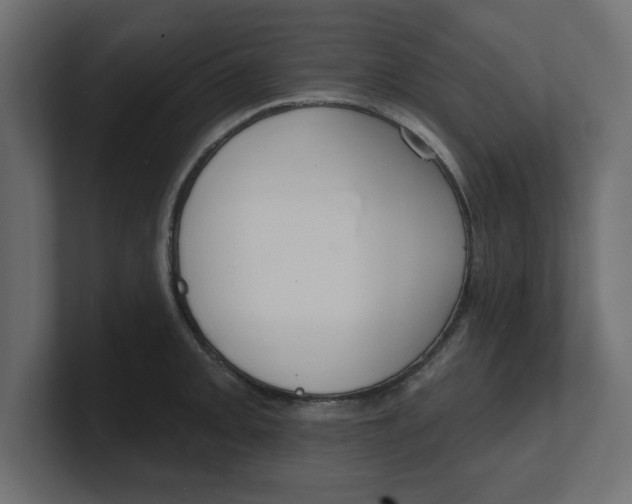 X0000100361093200806271418