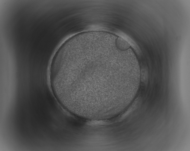 X0000100361094200806271418