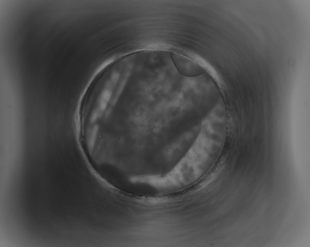 X0000100361095200806271418