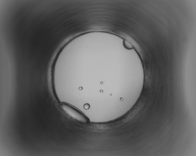 X0000100361096200806271418