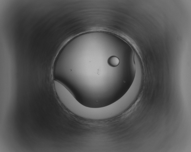 X0000100361097200806271418