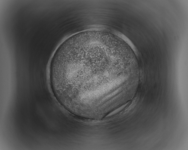 X0000100361099200806271418