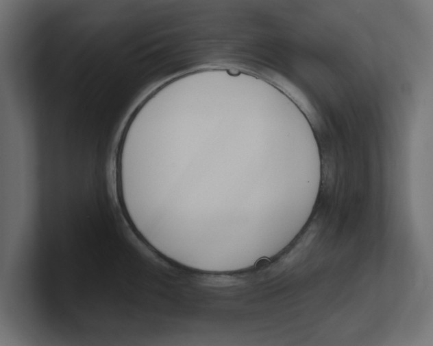 X0000100361100200806271418