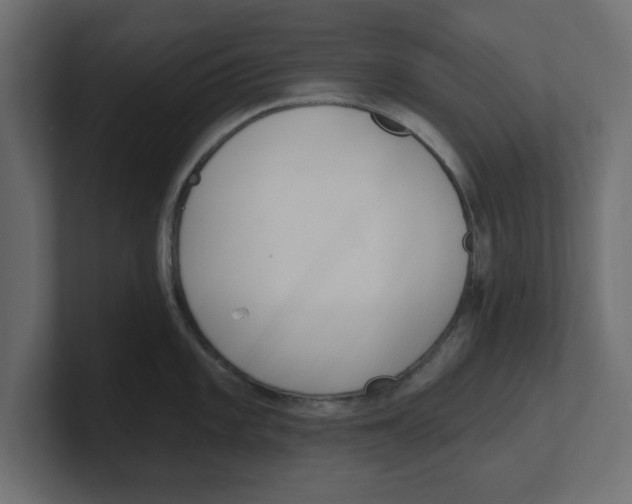 X0000100361101200806271418