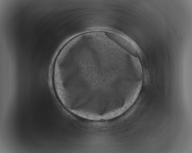 X0000100361102200806271418