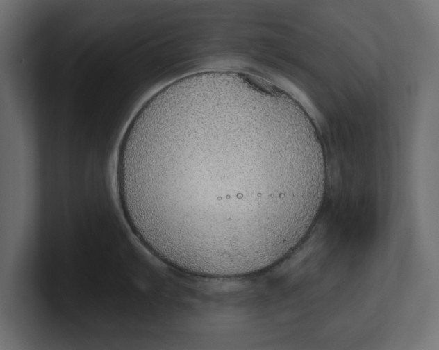 X0000100361103200806271418