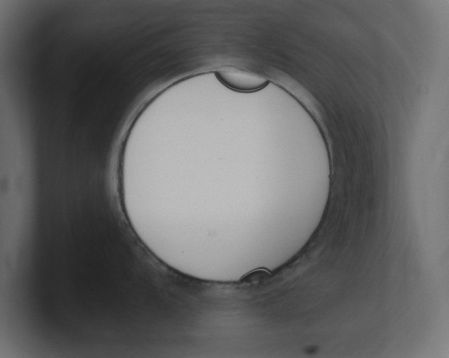 X0000100361104200806271418