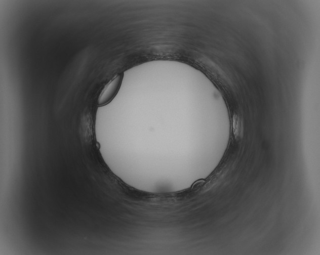 X0000100361107200806271418