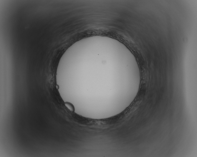 X0000100361109200806271418