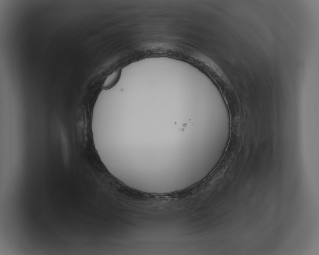 X0000100361111200806271418