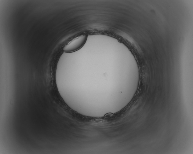 X0000100361112200806271418