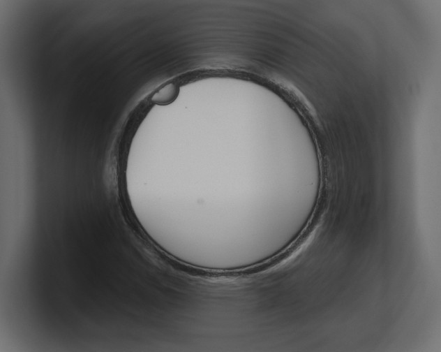 X0000100361114200806271418