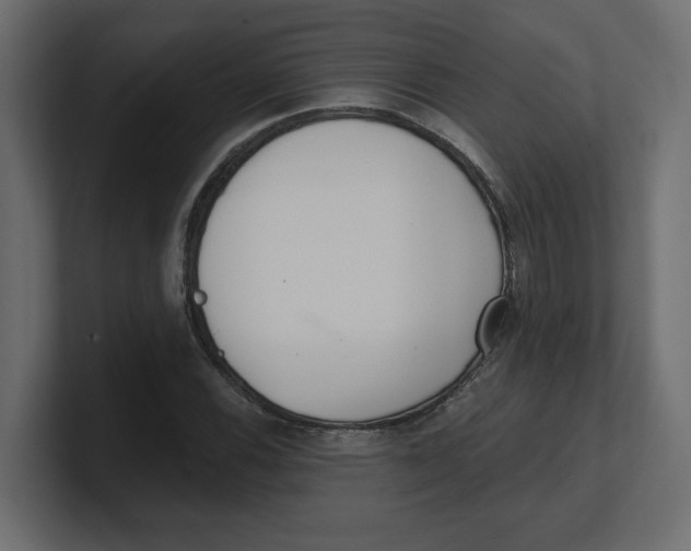 X0000100361116200806271418