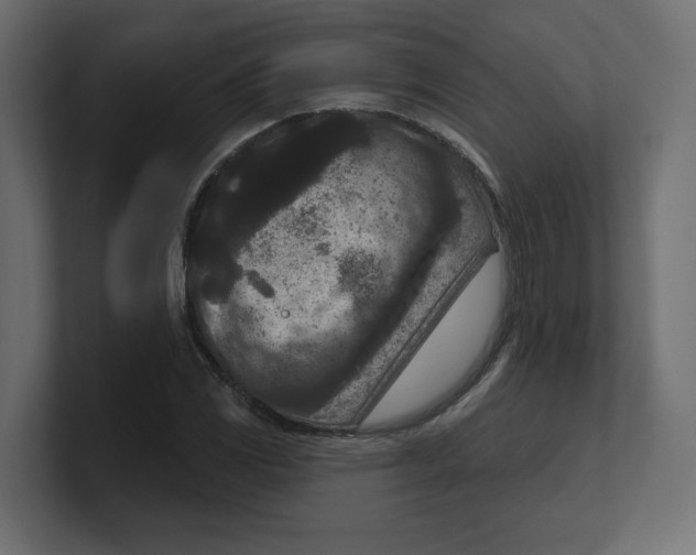 X0000100361117200806271418